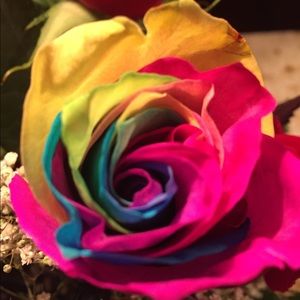 Meet your Posher, Margaret